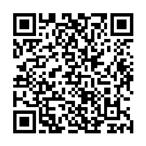 因为通过这次的战斗许德拉也是清楚的认识到了自己的不足二维码生成