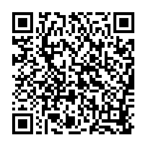因为那个人布置在我们圣弃界和对面那个世界的封印唯有神境界的人才能破开二维码生成