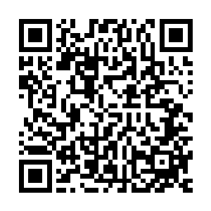 因为那就是李谦在全国观众和歌迷心目中的必备的才子人设啊二维码生成