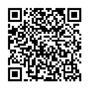 因为马里奥现在最大的敌人已经不是撒旦或者大伊万了二维码生成