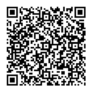 因为鱼群现在正在处于运动之中而且速度相当的快而且由于土狗的驱赶这些鱼彼此之间的距离很近二维码生成