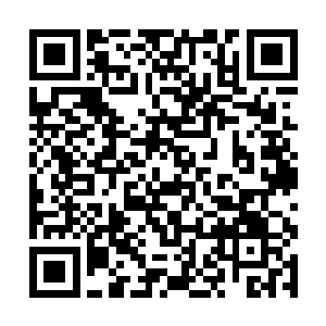 因为黑夜明可没有杀死过真正的盘古族――末将相信二维码生成