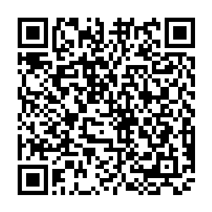 因此他也不知道自己不久前所找到的那座墓穴具体位置处于石墓的哪一段二维码生成