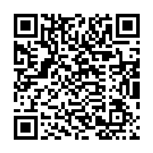 因此可以想象得到不可能有什么极品的材料给他们炼丹了二维码生成