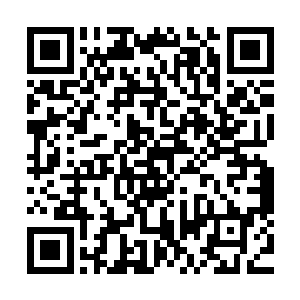 因此妮娜连续走过两条街站到猫眼咖啡厅门前都没遇到什么人二维码生成