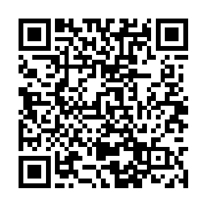 因此苏凡才会这么轻易的抵挡住诸葛霄正的这一拳二维码生成