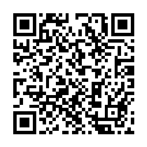 因此这一段时间的闭关你一定要克制自己的实力增长了二维码生成