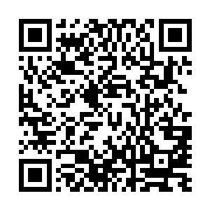 因此这个可怕的存在很有可能会成为改变战局的决定性因素二维码生成