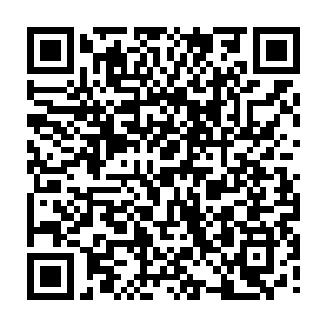 囡囡和皮皮立刻从椅子上滑了下来奔到了父亲的身边一边一个拉着贝海的手说道二维码生成