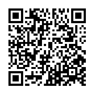 围在玲珑天尊和焰螭周围的百万修士同样受到的波及二维码生成