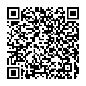 围城当中担惊受怕的丫鬟使女们偶尔发出的欢欣娇笑的声音在庭院当中荡漾二维码生成