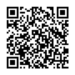 围绕着司末萧和罗莉的武者们不过是宗门的普通武者二维码生成