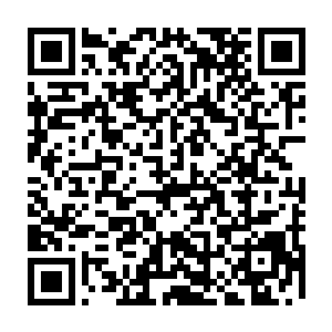 圣尊 开玩笑 灵界的顶尖大能 称宗做祖的存在 天道崩灭而圣尊不死二维码生成