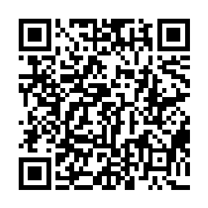 圣弃界的几十名圣皇已经有一些动作快的已经捏碎了玉石二维码生成