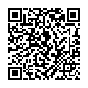 在一大堆价值不菲的各种珍宝中翻出来一件战甲出来二维码生成