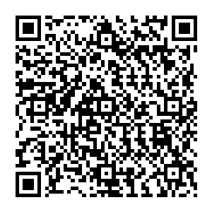 在一阵阵让人骨肉发麻的骨骼碎裂声和血肉撕裂声中将猩猩巨妖那庞大的身躯绞杀得骨肉碎裂二维码生成