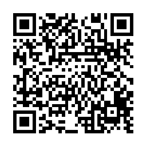 在下倒是可以帮助火狐皇抵挡无尽神针域的元神神针攻击二维码生成