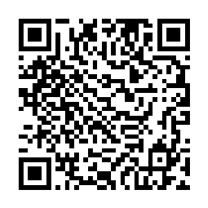 在下决定将东岛一街和东岛末街都划为你的私人产业二维码生成