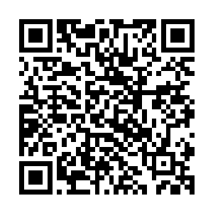 在世家联盟和散仙盟中一些修士纷纷要参与到瓜分之中的时候二维码生成
