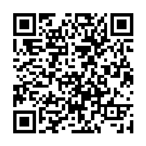 在两条街外的无人处释放出灵师独门通讯媒介灵鸽二维码生成