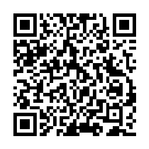 在书里就让他因为珍妮的蝴蝶效应而继续生活吧二维码生成