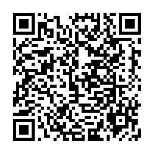 在五千仙舟内的天璇盟修士却不知道此时站在仙舟之上的许量天已经改变了摸样二维码生成
