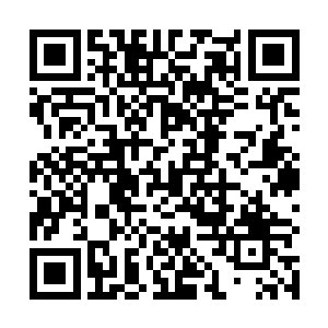在人类社会说得上话的超级帝国的支持也是必须争取的二维码生成