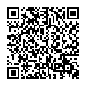 在他们专心致志抬头控制灵器的时候没有注意到一抹蓝色的身影悄然滑过二维码生成