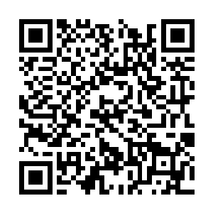 在他们兄弟两人离去之后便是被人给弄成了神经病二维码生成