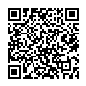 在他们的前面翻涌的瘴气猛然凝结成一只硕大的拳头二维码生成