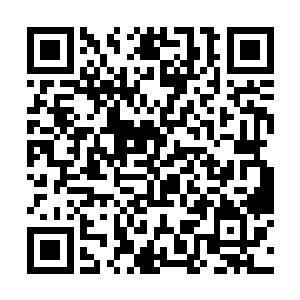 在他们面前也只不过是给小孩子用来练手的目标而已二维码生成