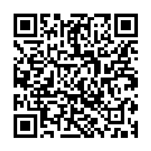 在他的力量撞击到了这个力量波的边缘的时候直接就破壳而入二维码生成