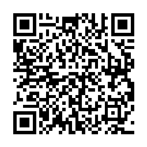 在他的瞳仁中毫无征兆的倒映繁杂无比的火焰道与理的纹路二维码生成