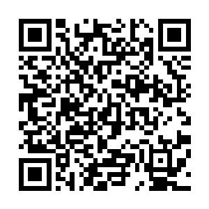 在他的身后无数的屠夫手中拿着菜刀拼命的追着这只狗跑着二维码生成