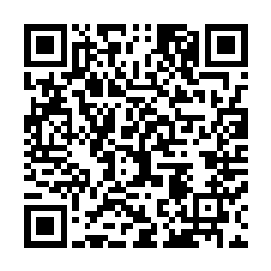 在他的面前站着一个面相在五旬左右的修士・长着两撇胡子二维码生成