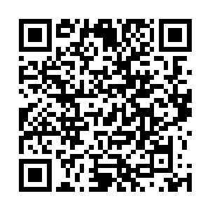 在他看来哪怕是天圣宗这样的门派也没有如此巨大的手笔二维码生成