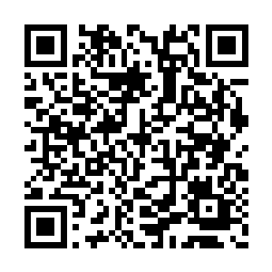 在他还没反应过来的时候那玉箫再一次抽了上来二维码生成