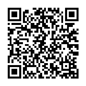 在他这气息的压迫下他们自己散发出来的灵气都不敢发威了二维码生成