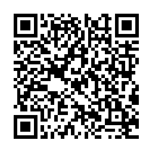 在众人不可思议的目光当中一举击溃了章亚的拳头二维码生成