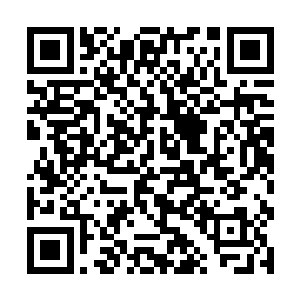 在你们的前方是被我们逼上绝路做困兽之斗的曰本人二维码生成