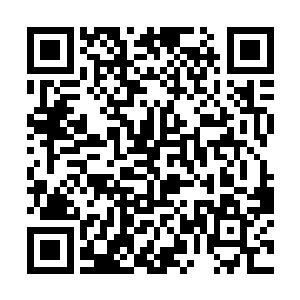 在你们还没学会收敛精神力之前就让你们全世界乱跑二维码生成