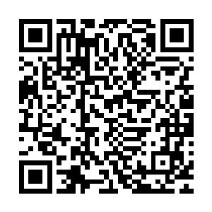 在你眼里居然什么都不是……难怪阿冯不想管雁丽的亲事……二维码生成