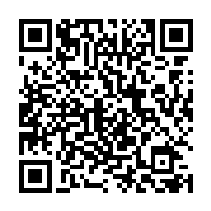 在俗世之中能够随随便便灌顶君者的存在还几乎不存在二维码生成