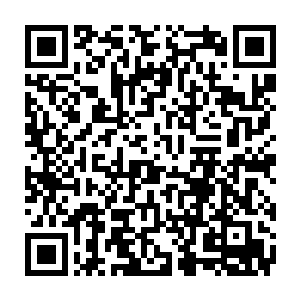 在保安室的几名保安却任然是心有余悸的躲在保安室之中不敢出去面对苏凡二维码生成