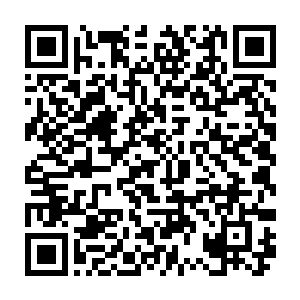 在兑换商店买到的一种能引虫消毒的熏香将养好的虫子引到旁边的鸡棚中二维码生成