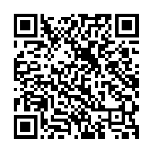 在其他的那些试炼生一个个已经在试炼前告别处男身份的时候二维码生成