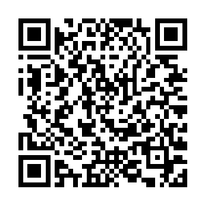 在准备接北冥香韵回明珠的时候他就已经差人买好了二维码生成