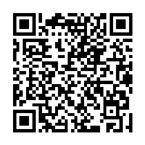 在几座摇滚重镇他也分配了无数名眼光毒辣的音乐经纪人二维码生成