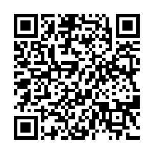 在几百个与武尘一起建造行宫的人恐怕全都没看出来二维码生成