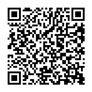 在加上他也完全沒有想到以一元宗守护家族的身份竟然会趁他不备时出手偷袭二维码生成